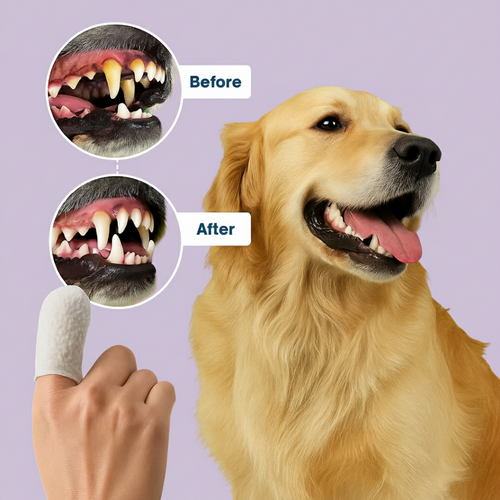 Pearly Paws Wipes - Protects Against Dental Diseases